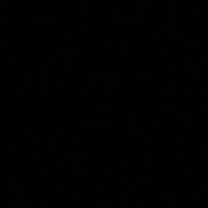 Meet your Posher, Lincoln